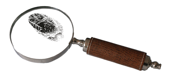 agence mydetective